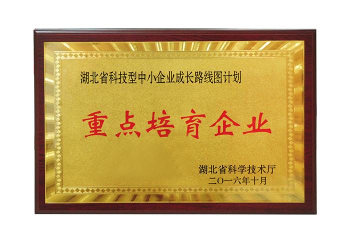 湖北省科技型中小企業(yè)成長路線圖計劃 重點培育企業(yè)